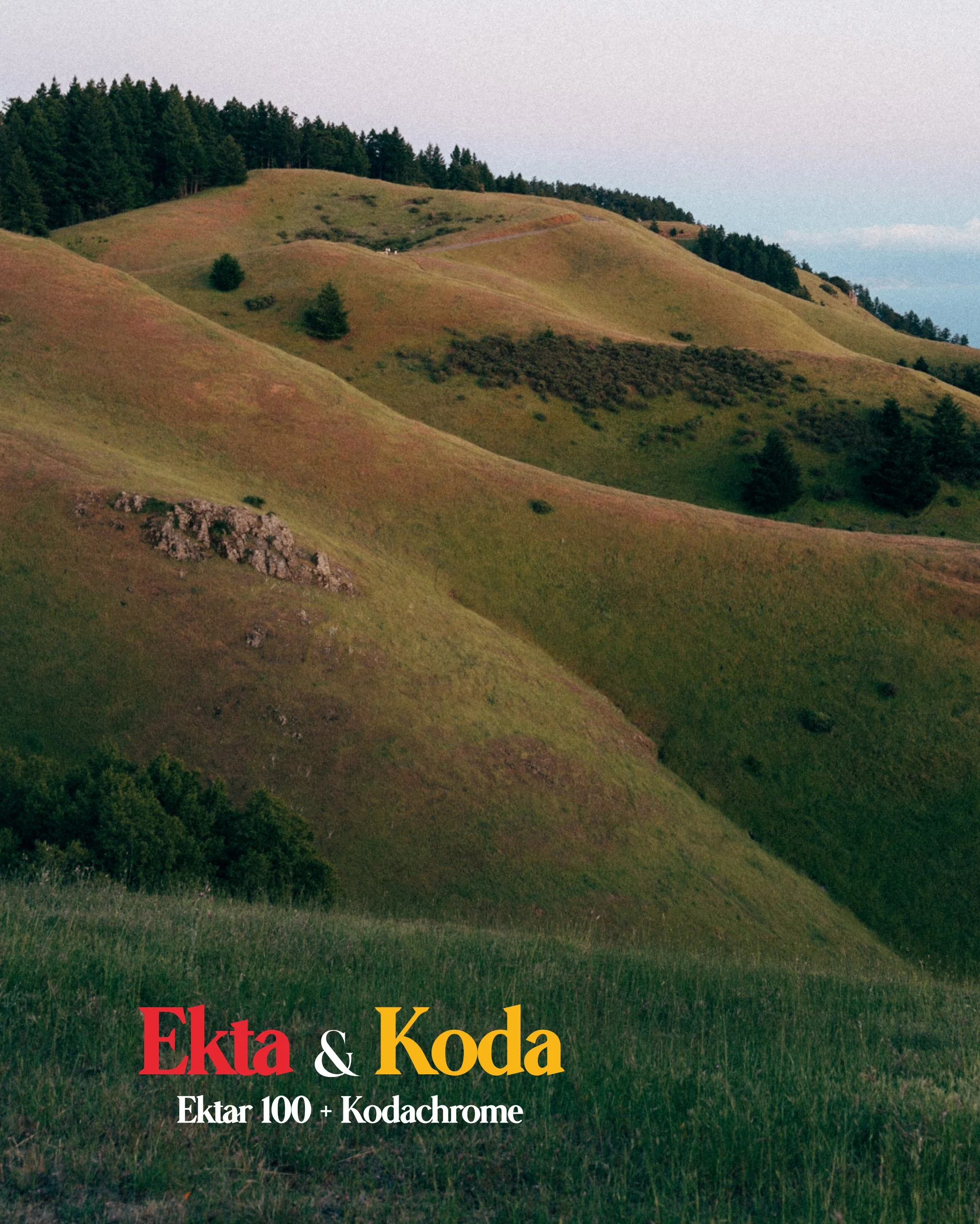 「期間切れ」Kodak Portra 800 Kodak Ektar 100 Kodak Ektar 100 Landscape 期間切れ」Kodak Portra 800 Kodak Ektar